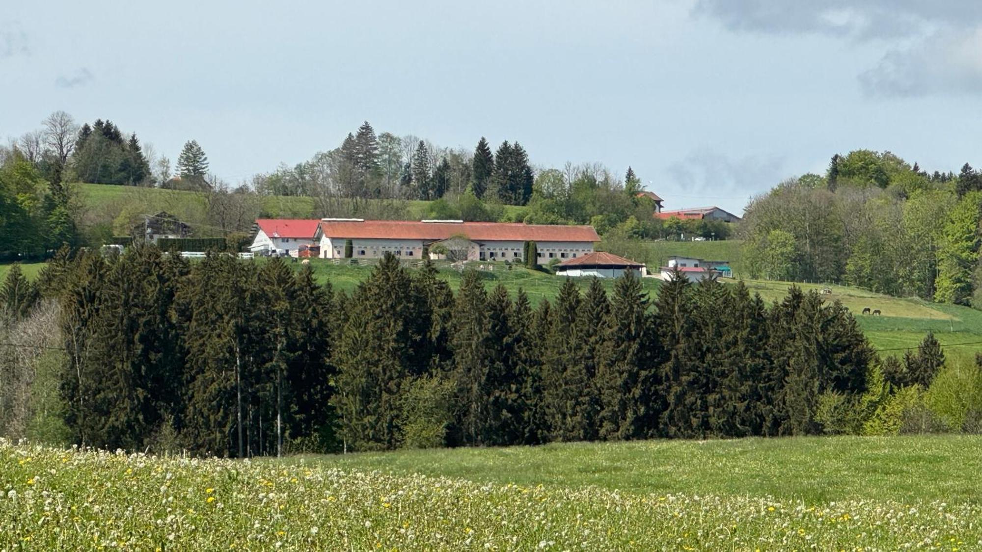 شقة Gut Buchenhof Buchenberg  المظهر الخارجي الصورة